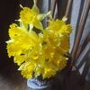 sheliaknabbe8s